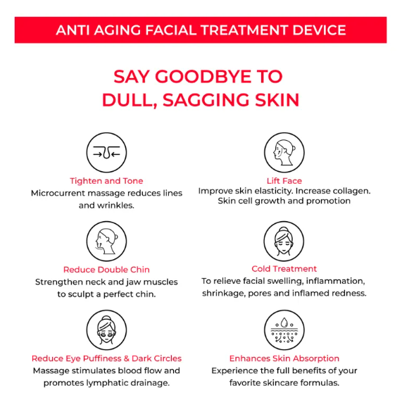 EMS Facial Care Device